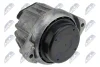 Подушка двигателя NTY ZPS-BM-006 (фото 2)