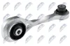 Опора двигателя задняя renault clio ii, kangoo 1.5dci 06.01- NTY ZPS-RE-028 (фото 1)