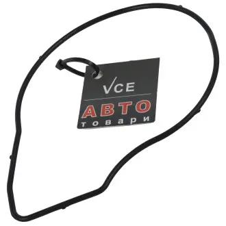 Прокладка насоса 24446365 Opel 1334962