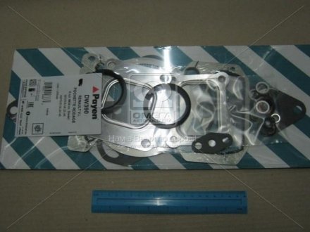 Комплект прокладок, головка цилиндра PAYEN DW390 (фото 1)