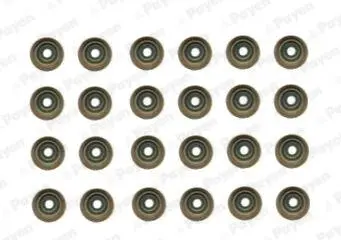 Комплект прокладок, стержень клапана PAYEN HR5121