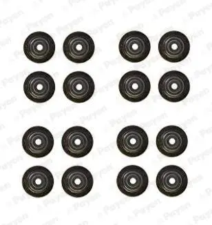 Комплект прокладок, стержень клапана PAYEN HR5125