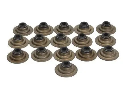 Комплект сальників клапанів PAYEN HR752