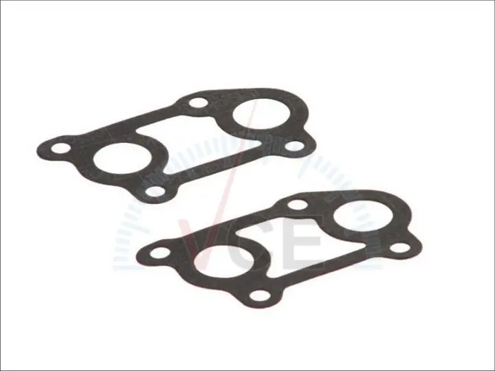 Прокладка впускного коллектора PAYEN JC420 (фото 1)
