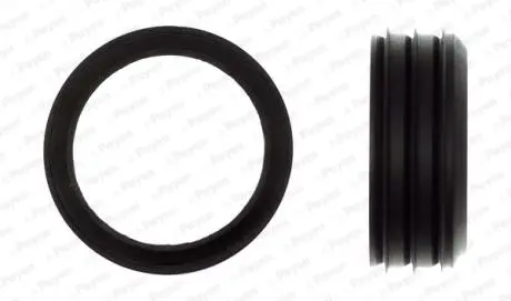 Прокладка между частями корпуса впускного коллектора vag 1.6 aeh/akl/avu/bfq/bsf (4) (выр-во) PAYEN JD6006