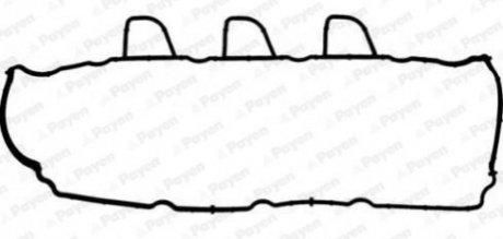 Прокладка, кришка головки циліндра PAYEN JM7165 (фото 1)