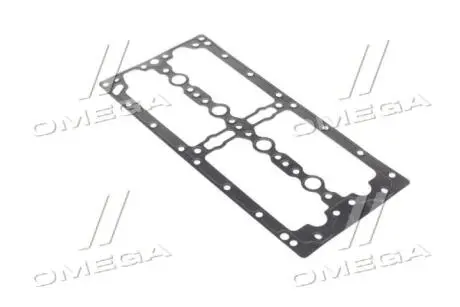 Прокладка, крышка головки цилиндра PAYEN JM7198