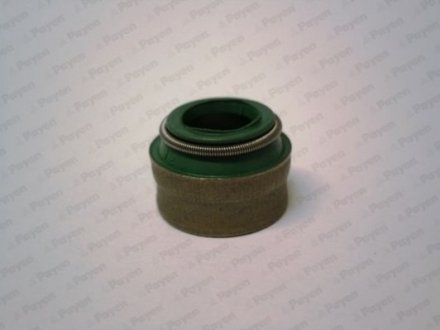 Уплотнительное кольцо, стержень кла PAYEN PB394
