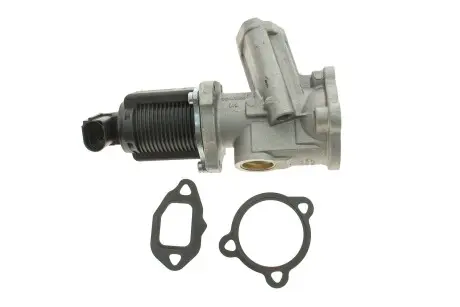 Клапан egr PIERBURG 7.00020.24.0