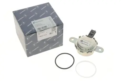 Клапан регулятора розподільчого валу PIERBURG 7.06117.41.0