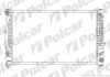 Радіатор основний audi a4/a6/vw passat 2.4-2.8 95-08 POLCAR 132408A6 (фото 1)