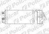 Радіатори обігріву POLCAR 3005N8-2 (фото 1)