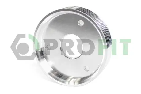 Ролик модуля натяжителя ремень PROFIT 1014-3688