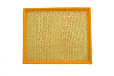 Воздушный фильтр PURFLUX A1010