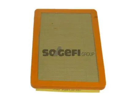 Воздушный фильтр PURFLUX A760