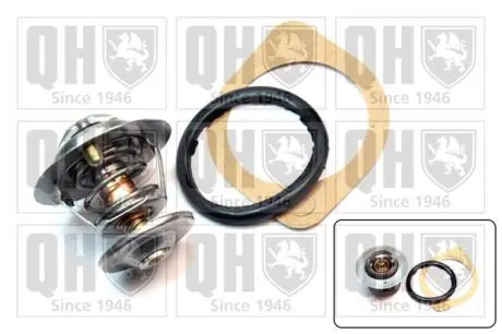 Термостат внутри calorstat t 85°С. QUINTON HAZELL QTH316K