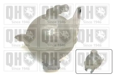 Бачок компенсаційний QUINTON HAZELL QVE572