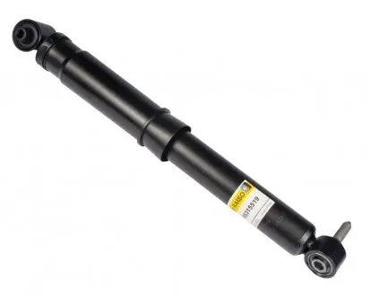 Амортизатор задний Renault Grand Scenic III, Scenic III 09- (газ,) RAISO RS315519