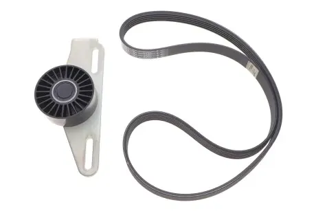 К-кт ремня приложение оборудование ролик RENAULT 11 72 017 73R