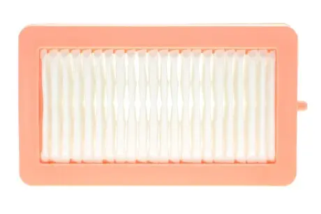 Повітряний фільтр RENAULT 165465FN1A