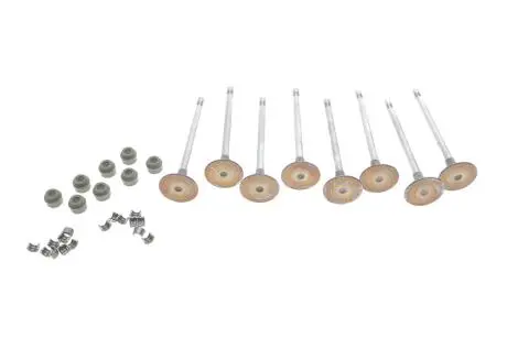 Клапан впускной клапанов. RENAULT 77 01 476 596