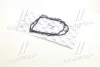 Прокладка клапанной крышки 15 отв. isuzu, богдан е2, е3 RIDER RD8971056902 (фото 4)