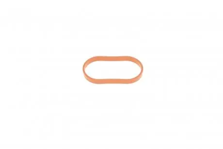 Прокладка впускного коллектора MB A(W177)/B(W247)/Renault Scenic/Kadjar/Megane 1.0/1.3 18- (внутри OE) ROTWEISS 8201721557