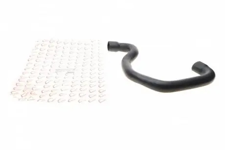 Патрубок турбины renault trafic 1.9dci 01- ROTWEISS RWS2565