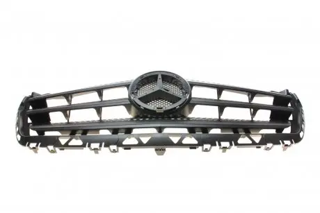 Решетка радиатора ROTWEISS RWS2809