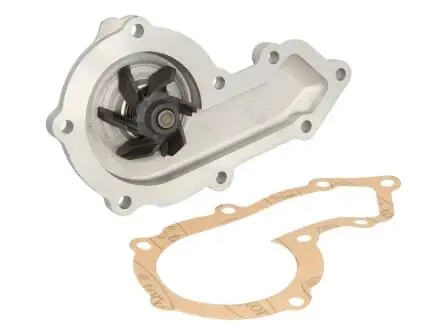 Водяной насос SALERI SIL PA1219