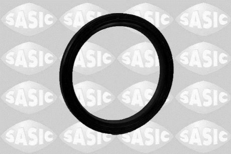 Ущільнююче кільце, диференціал SASIC 1950004 (фото 1)