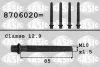 Болт крепления шестерни коленчатого вала SASIC 8706020 (фото 1)