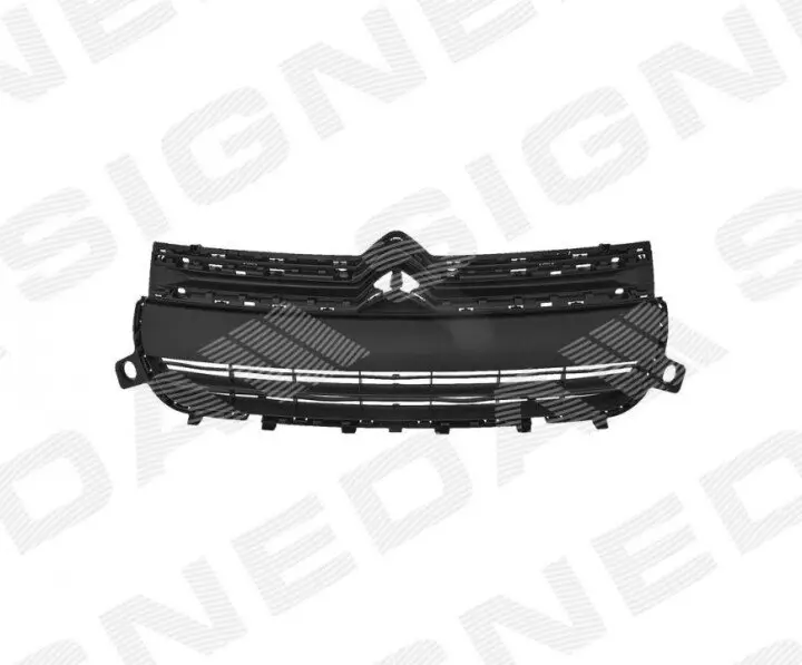 Решетка радиатора SIGNEDA PCT07017GAI (фото 1)