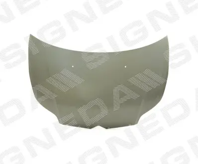 Капот SIGNEDA PCT20011A