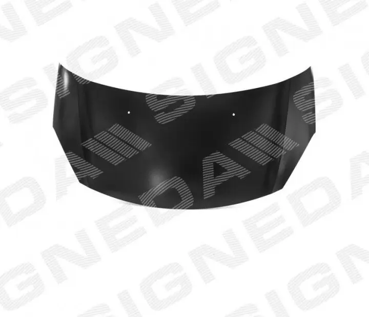 Капот SIGNEDA PCT20023A (фото 1)