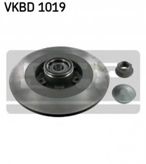Гальмівний диск SKF VKBD 1019 (фото 1)