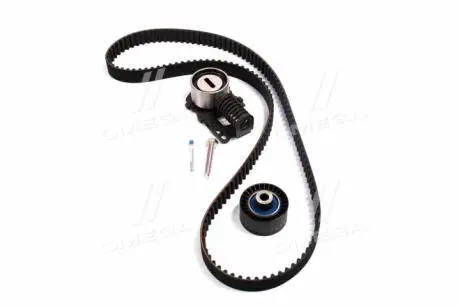 Комплект ГРМ SKF VKMA03251