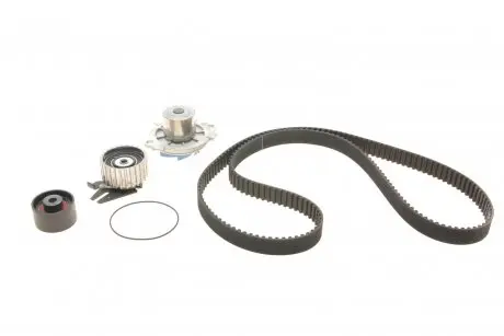 Комплект ГРМ SKF VKMC02192