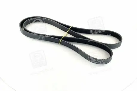 Полікліновий ремінь SKF VKMV 6PK1815