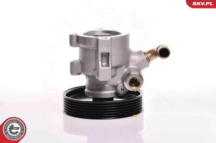 Насос Skv Germany 10SKV013 (фото 1)