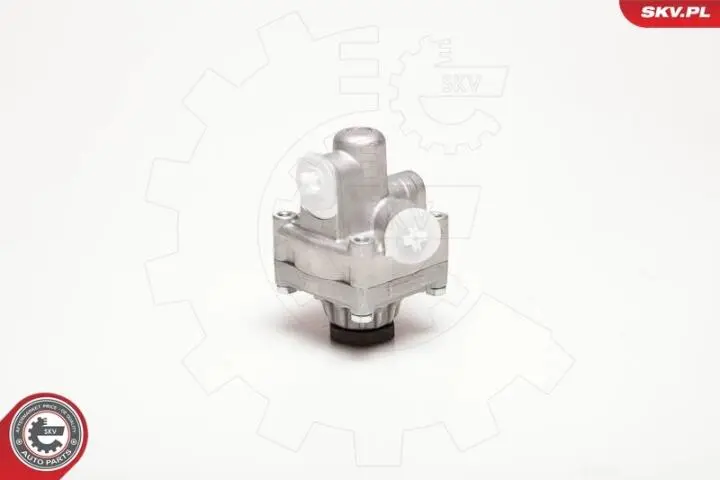 Насос Skv Germany 10SKV017 (фото 1)
