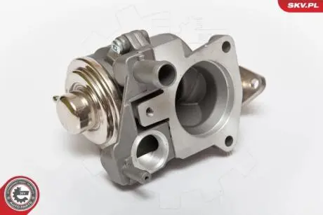 Клапан egr Skv Germany 14SKV063