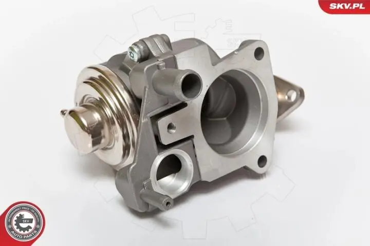 Клапан egr Skv Germany 14SKV063 (фото 1)