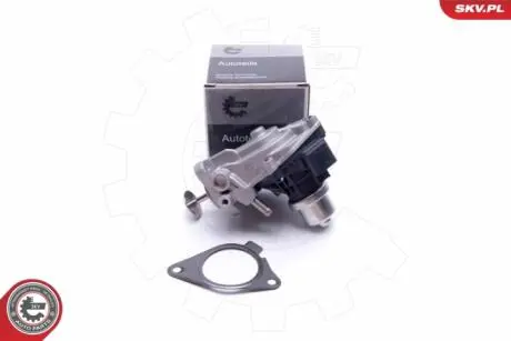 Клапан egr Skv Germany 14SKV233