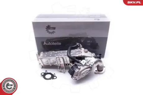 Клапан egr Skv Germany 14SKV235