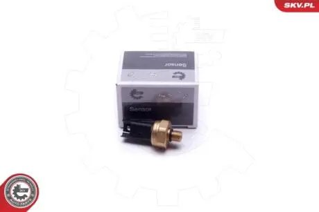 Датчик давления топлива Skv Germany 17SKV620