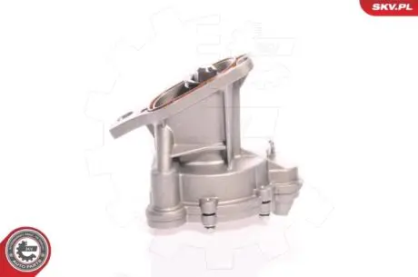 Вакуумный насос Skv Germany 18SKV006