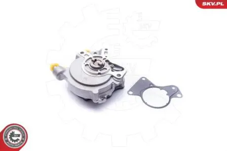 Вакуумный насос Skv Germany 18SKV018