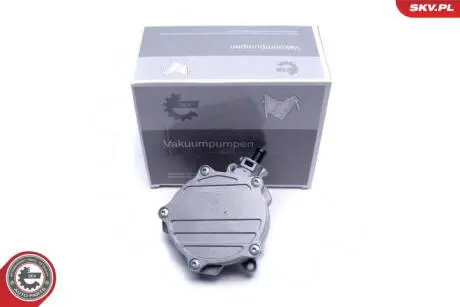 Вакуумный насос Skv Germany 18SKV056