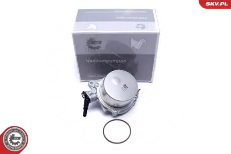 Вакуумный насос Skv Germany 18SKV059